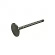 Soupape Manley 38 mm échappement YOUNG PARTS 1750-20 - Visuel 1