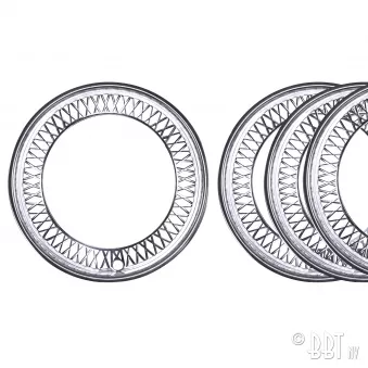 Cercles enjoliveurs 'Flat4' 15" 5x205 (4 pcs) YOUNG PARTS 2535-100