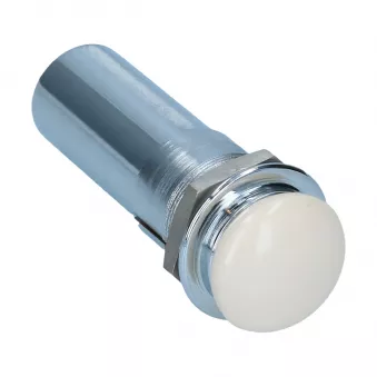 Bouton cendrier tableau de bord bakélite ivoire YOUNG PARTS 2674-000