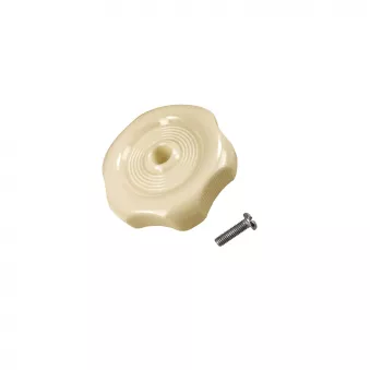 Mollete fenêtre Westfalia (crème) YOUNG PARTS 6620-101