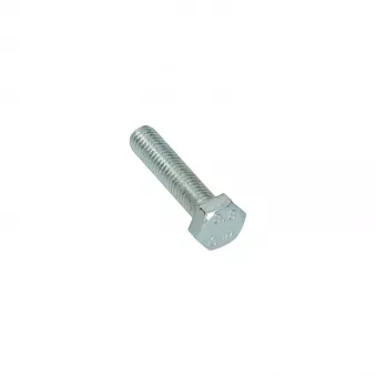 Boulon hexagonale filetage complet M8 x 35 Din 933 YOUNG PARTS 8700-08-035
