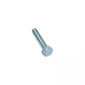 Boulon hexagonale filetage complet M8 x 40 Din 933 YOUNG PARTS 8700-08-040