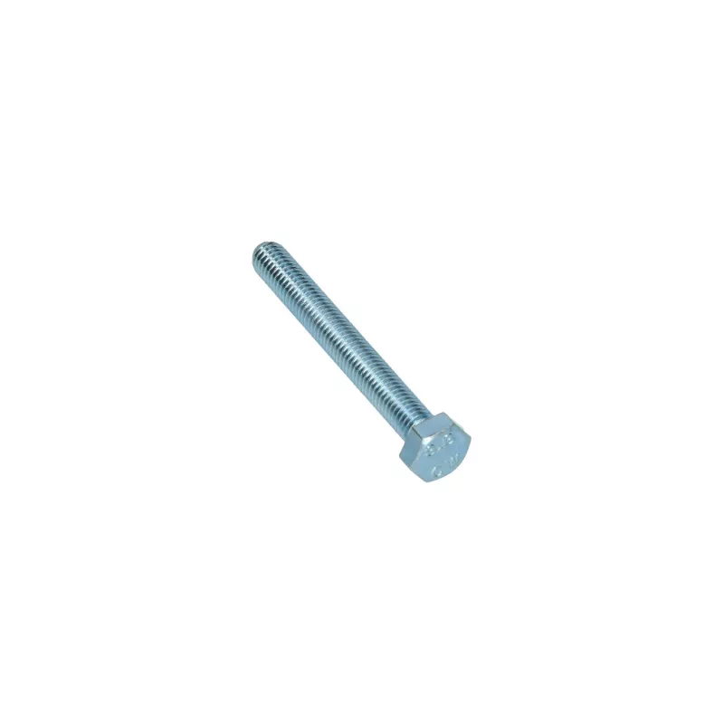 Boulon hexagonale filetage complet M8 x 65 Din 933 YOUNG PARTS 8700-08-065
