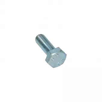 Boulon hexagonale filetage complet M10 x 30 Din 933 YOUNG PARTS 8700-10-030