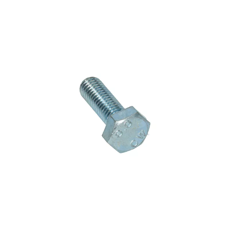 Boulon hexagonale filetage complet M10 x 30 Din 933 YOUNG PARTS 8700-10-030