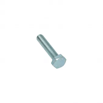 Boulon hexagonale filetage complet M10 x 50 Din 933 YOUNG PARTS 8700-10-050