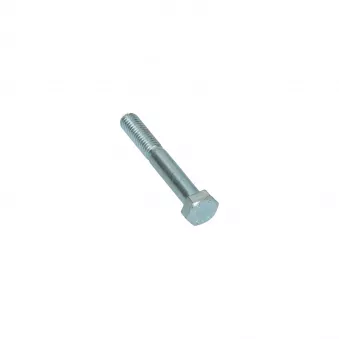 Boulon hexagonale demi filetage M8 x 55 Din 931 YOUNG PARTS 8701-08-055