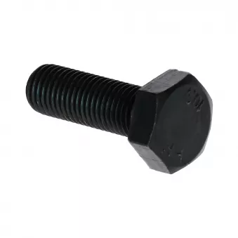Boulon à tête hexagonale M10x30x1.25 Din 961 YOUNG PARTS 8705-10-030