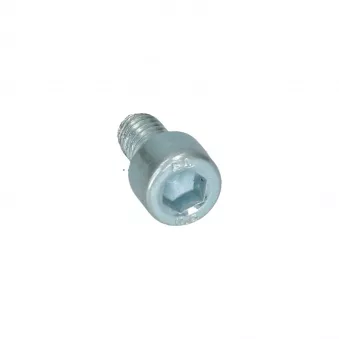 Boulon six pans creux M6 x 10 Din 912E YOUNG PARTS 8711-06-010