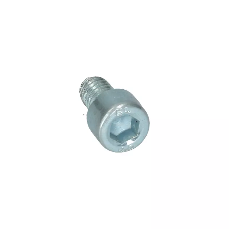 Boulon six pans creux M6 x 10 Din 912E YOUNG PARTS 8711-06-010