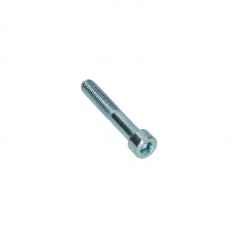 Boulon six pans creux M10 x 60 Din 912E YOUNG PARTS 8711-10-060