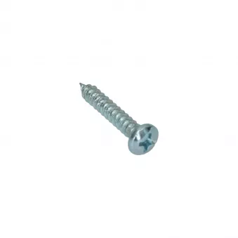 Vis plat 3.5 x 19 YOUNG PARTS 8760-3519