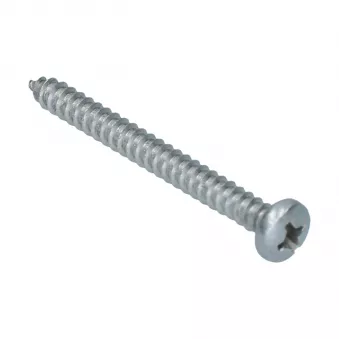 Vis plat 3.9 x 38 Din 7981 inox YOUNG PARTS 8760-3938