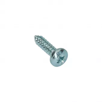Vis plat 4.8 x 19 YOUNG PARTS 8760-4819