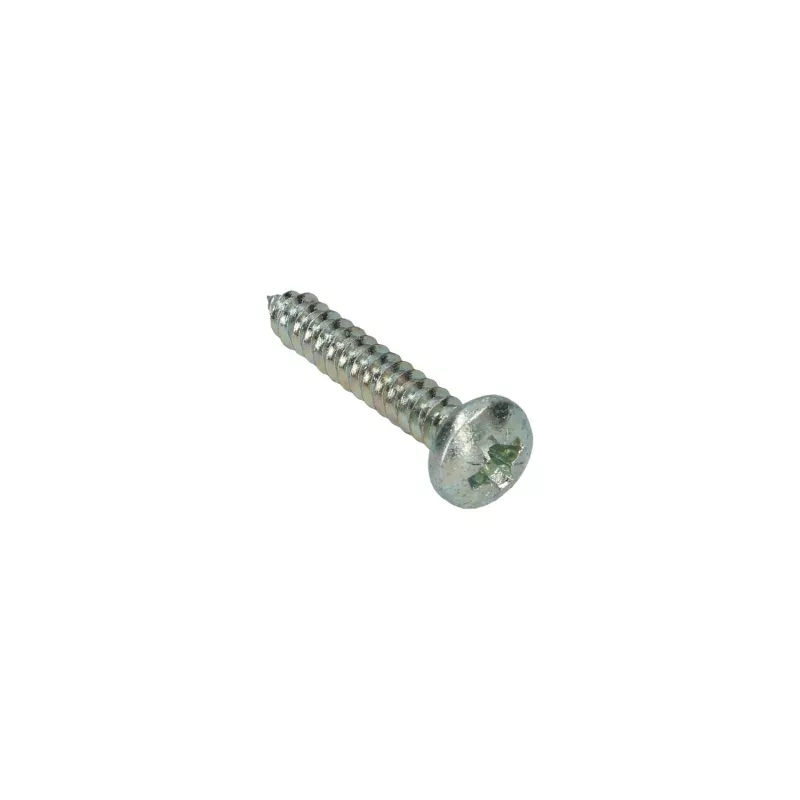 Vis plat 5.5 x 32 YOUNG PARTS 8760-5532