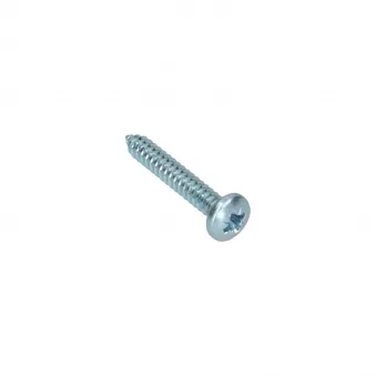 Vis plat 6.3 x 38 YOUNG PARTS 8760-6338