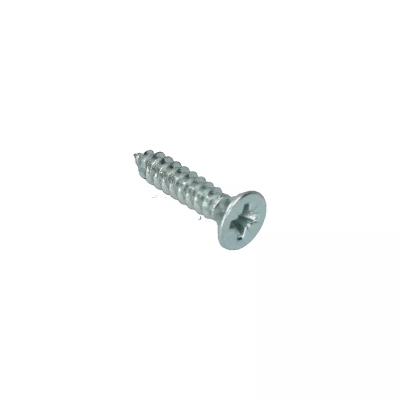 Vis conique 4.2 x 19 YOUNG PARTS 8761-4219