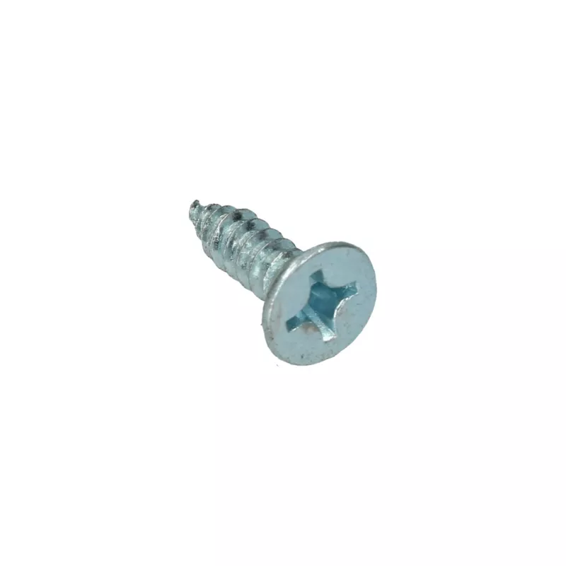 Vis conique 5.5 x 19 YOUNG PARTS 8761-5519