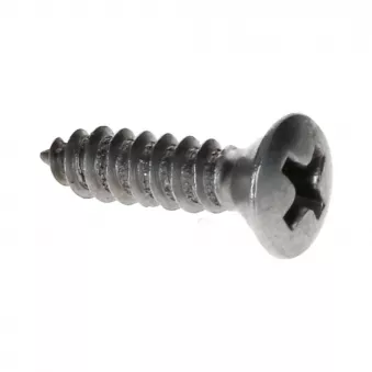 Vis tête fraisée soulevée Inox 4.2x16 Din783c YOUNG PARTS 8762-4216