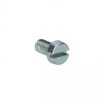 Boulon tête fendue complet M5 x 10 Din 84 YOUNG PARTS 8765-05-010