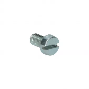 Boulon tête fendue complet M6 x 10 Din 84 YOUNG PARTS 8765-06-010