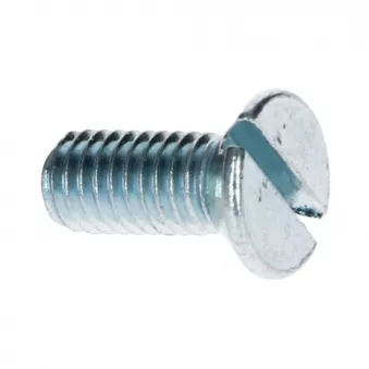 Boulon tête fendue complet M5 x 12mm Din 963 YOUNG PARTS 8767-05-012