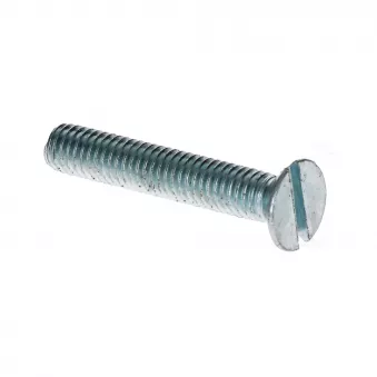 Boulon tête fendue complet M6 x 35mm Din 963 YOUNG PARTS 8767-06-035