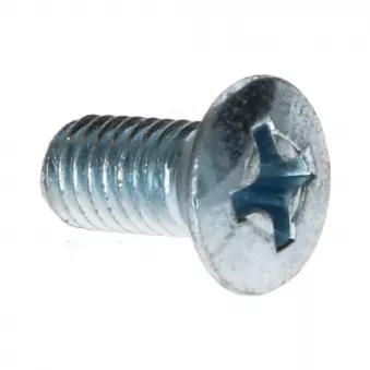 Vis tête fraisée cruciforme bombée M5 x 10 Din 966 YOUNG PARTS 8770-05-010
