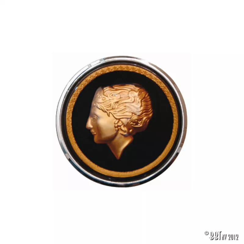 Bouton klaxon ''GOLDEN LADY' pour volant Banjo 'Flat4' YOUNG PARTS 9580