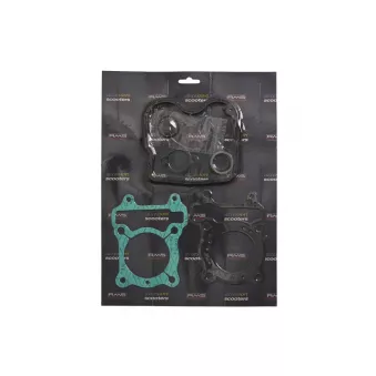 jeu complet de joints, moteur RMS 10 068 9090