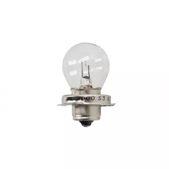 ampoule RMS 24 651 0296