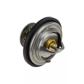 Thermostat d'eau TEKNÖR CTM-AU-016