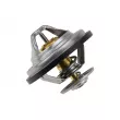 Thermostat d'eau TEKNÖR CTM-AU-016 - Visuel 2