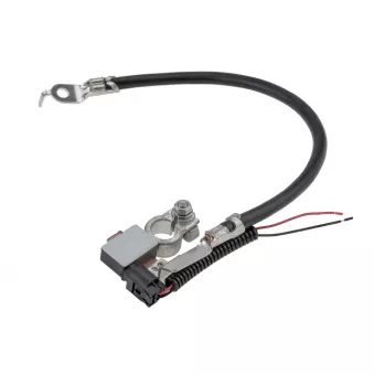 Adaptateur de batterie TEKNÖR EBP-FR-000