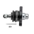 Rotule de suspension TEKNÖR ZSG-NS-008 - Visuel 3