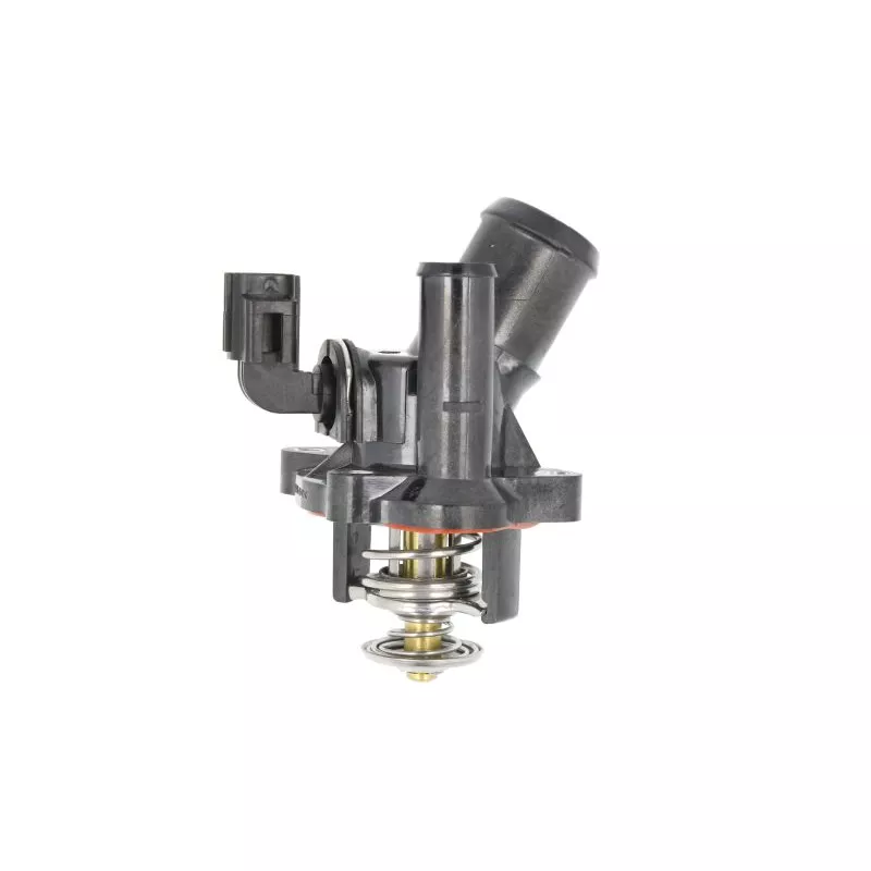Thermostat d'eau AKUSAN LCCF 06015