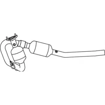 Catalyseur DINEX 32326
