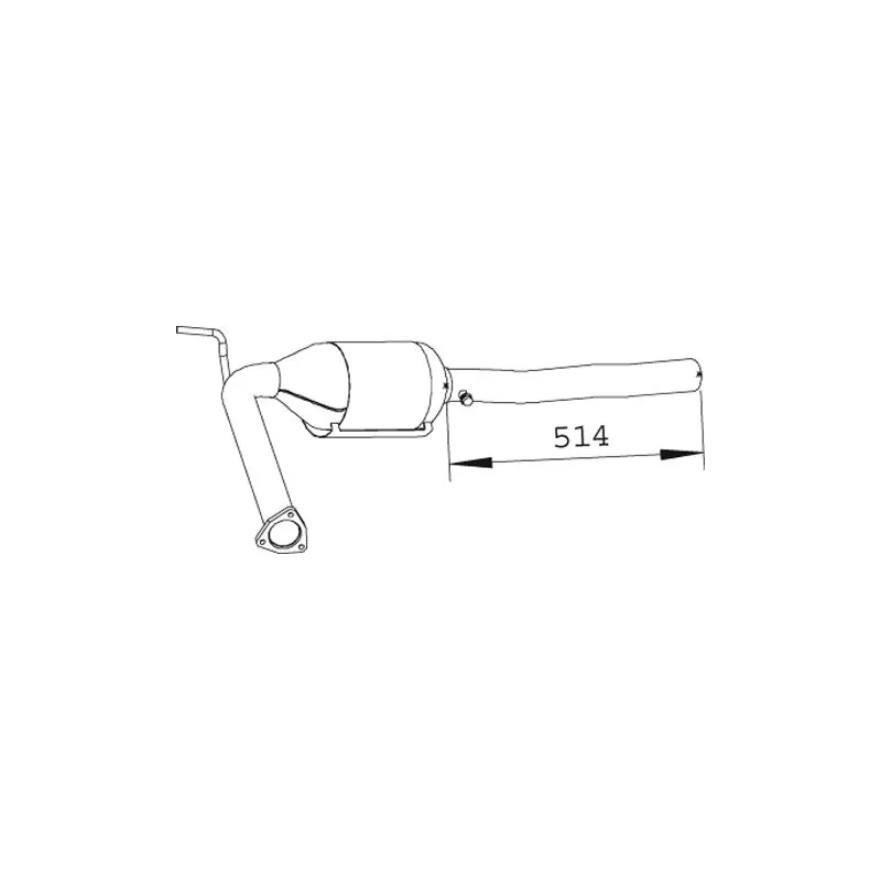 Catalyseur DINEX 74319