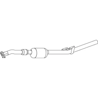 Catalyseur DINEX 74341