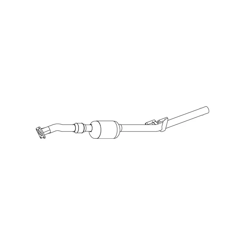 Catalyseur DINEX 74341