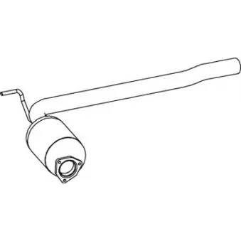 Catalyseur DINEX 74374