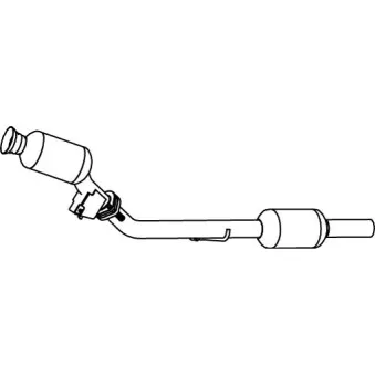 Catalyseur DINEX 56304