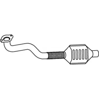 Catalyseur DINEX 66301