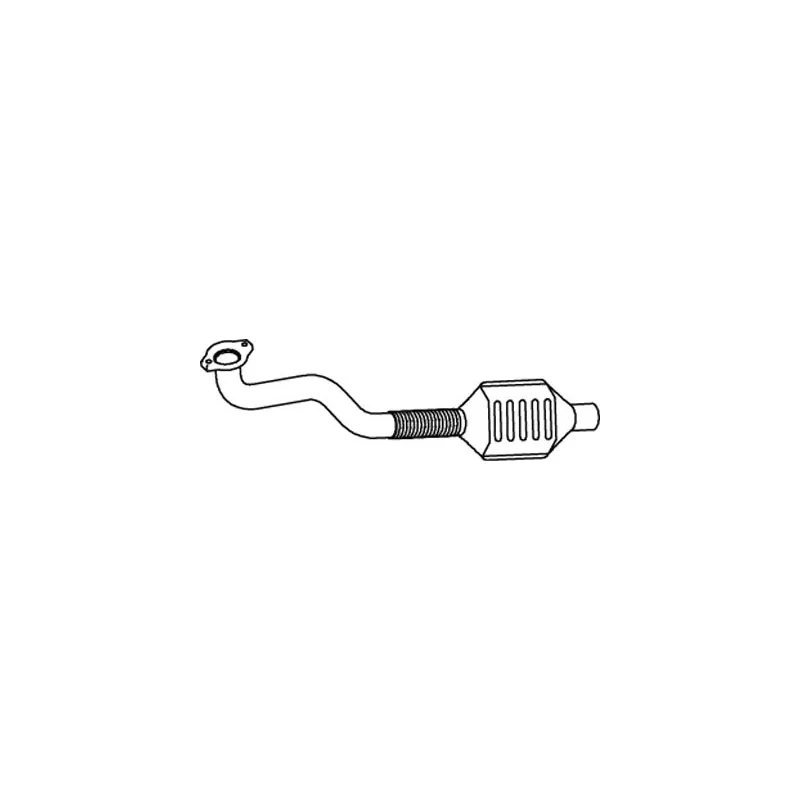Catalyseur DINEX 66301
