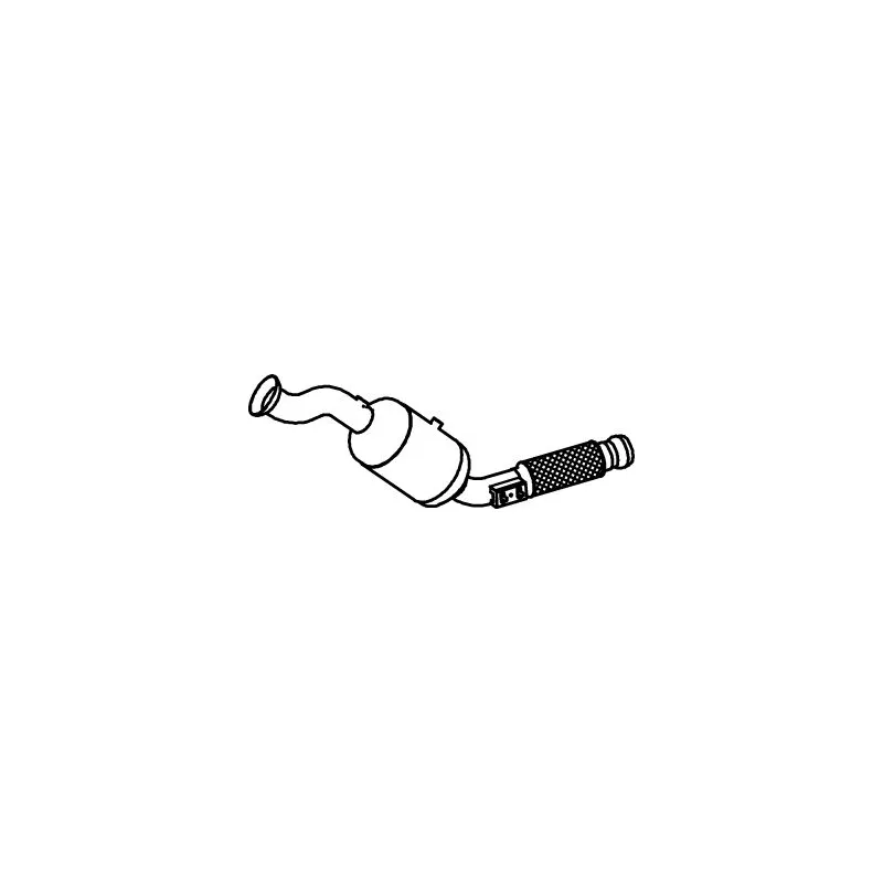 Catalyseur DINEX 56340