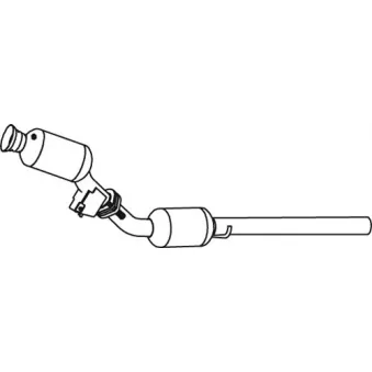 Catalyseur DINEX 56358