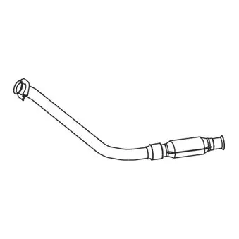 Catalyseur DINEX 73301