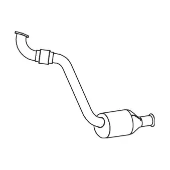 Catalyseur DINEX 73308