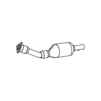 Catalyseur DINEX 73328