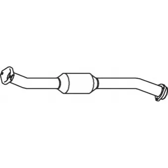 Catalyseur DINEX 33356